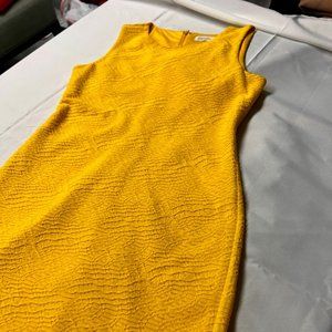 Calvin Klein Dress